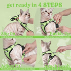 rabbitgoo Cat Harness and Leash Set, Escape Proof Vest, Light Green | Soft Breathable Mesh, Easy Adjustable Fit, Snap Buckles, Sturdy Clip, Reflective Strips, for Kittens & Small Cats Walks, Xxs