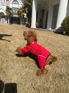 Dogs Waterproof Jacket, Lightweight Waterproof Jacket Reflective Safety Dog Raincoat Windproof Snow-Proof Dog Vest for Small Medium Large Dogs Red XL