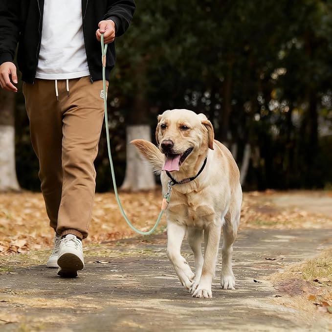 Mile High Life Green Dog Leash with Genuine Leather Connection, 4/5/6 FT | Rope Leash, Heavy Duty 360° Swivel Metal Clasp, for Small Medium & Large Dogs (Cream Green, 48 Inch)
