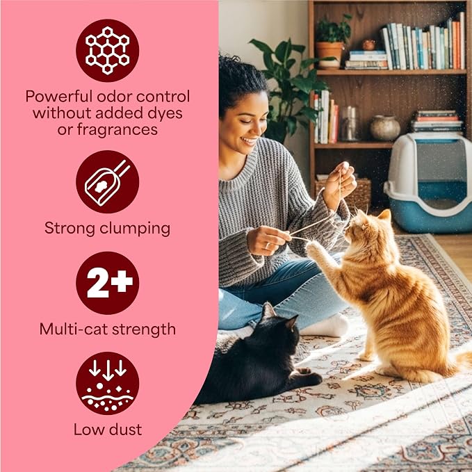 Fresh Step Advanced Simply Unscented Multi Cat Clumping Litter, Formulated with No Added Dyes or Fragrances, Ammonia Block Technology, Low Dust, 18.5 lb. Box, Pack of 2 | Formulated with No Added Dyes or Fragrances, Ammonia Block Technology, Low Dust, ...