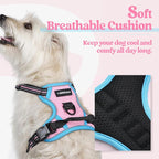 rabbitgoo Dog Harness, No Pull for Small Dogs with 2 Leash Clips, Pet Vest | No Choke with Handle, Adjustable Soft Padded, Reflective, Easy Control for Walking, Pink & Blue, X-Small