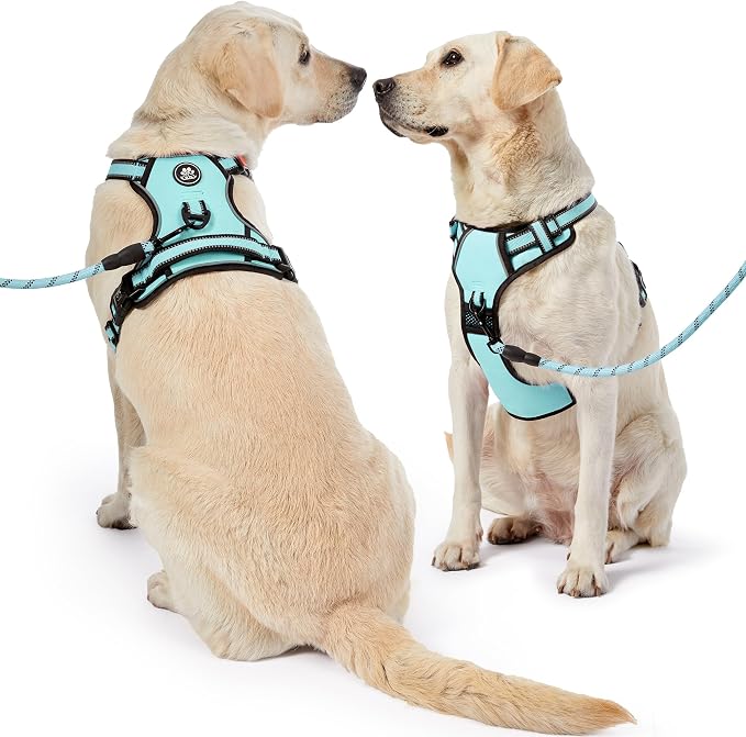 NESTROAD No Pull Dog Harness,Adjustable Oxford Dog Vest Harness with Leash,Reflective No-Choke Pet Harness with Easy Control Soft Handle for Large Dogs(Large,Turquoise)