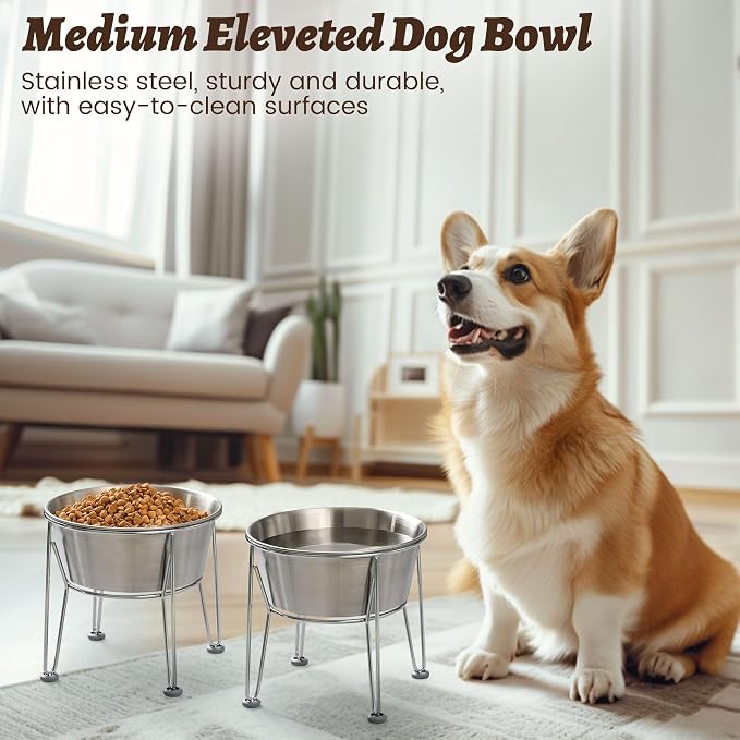 Elevated Dog Bowls for Medium&Small Dogs - Stainless Steel 48oz/6 Cups Raised Feeder with Non-Slip Base, Dual Food & Water Bowls 2-Pack