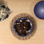 Selamica Ceramic Cat Bowls, 5.6 Inch Wide Shallow Cat Food Bowl/Dishes for Food and Water, Whisker Friendly, Set of 6, Vintage Blue