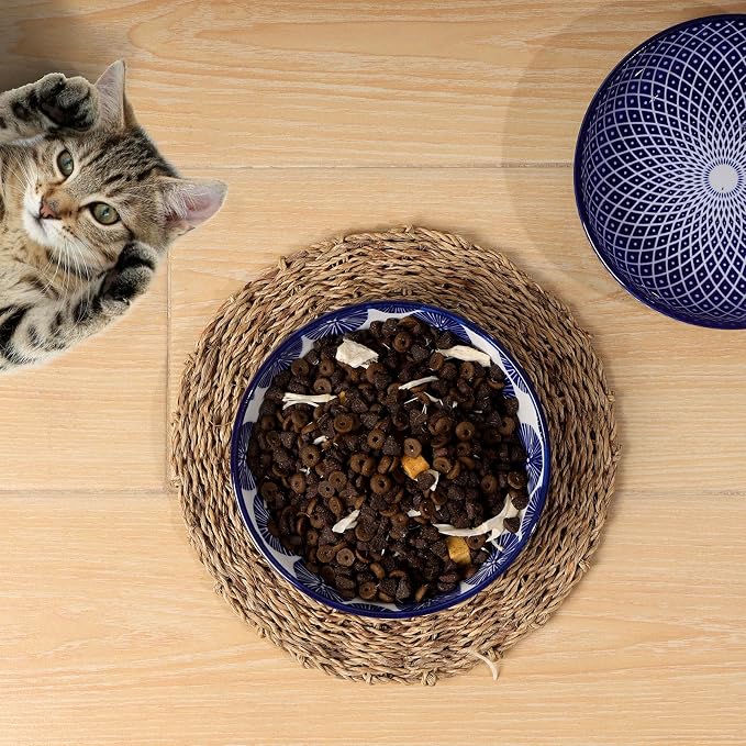 Selamica Ceramic Cat Bowls, 5.6 Inch Wide Shallow Cat Food Bowl/Dishes for Food and Water, Whisker Friendly, Set of 6, Vintage Blue