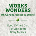 Biokleen Bac-Out Enzyme Cleaner Spray and Stain & Odor Remover for Pet Stains, Laundry, Diapers, Wine, Carpets, & More, Eco-Friendly, Non-Toxic, Lime Scent, 32 Ounces