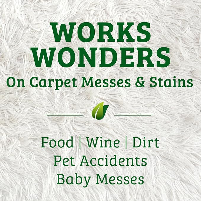 Biokleen Bac-Out Carpet Stain Remover Enzymatic, Destroys Stains & Odors Safely, for Pet Urine, Laundry, Diapers, Wine, Carpets, More, Eco-Friendly, Plant-Based