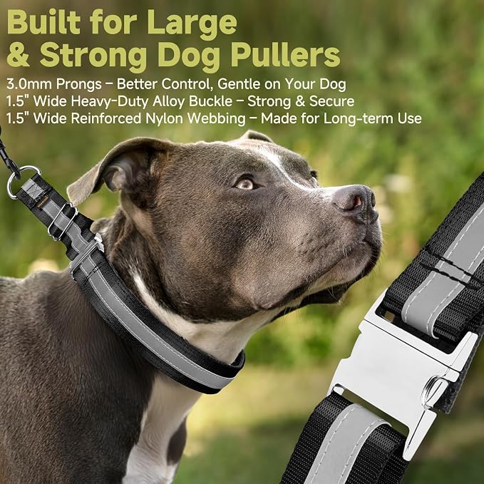 Mayerzon Martingale No Pull Dog Collar with Alloy Buckle, Black, M, 3mm | For Medium Large Dogs that Pull, Patented Dog Walking Training Collar, Thick Foam Padding, Reflective, Adjustable, 1.5'' Wide