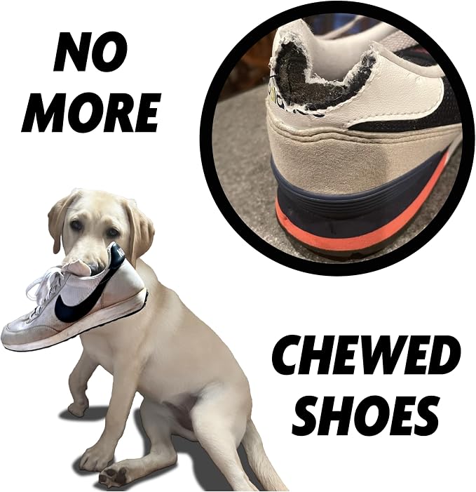 Shoe Realistic Sneaker Heavy-Duty Tough Dog Toy Aggressive Chewers, Small, Medium, Large Dogs Dandelion Yellow Chicken