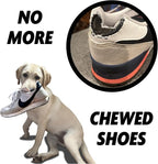 Shoe Realistic Sneaker Heavy-Duty Tough Dog Toy Aggressive Chewers, Small, Medium, Large Dogs Dandelion Yellow Chicken