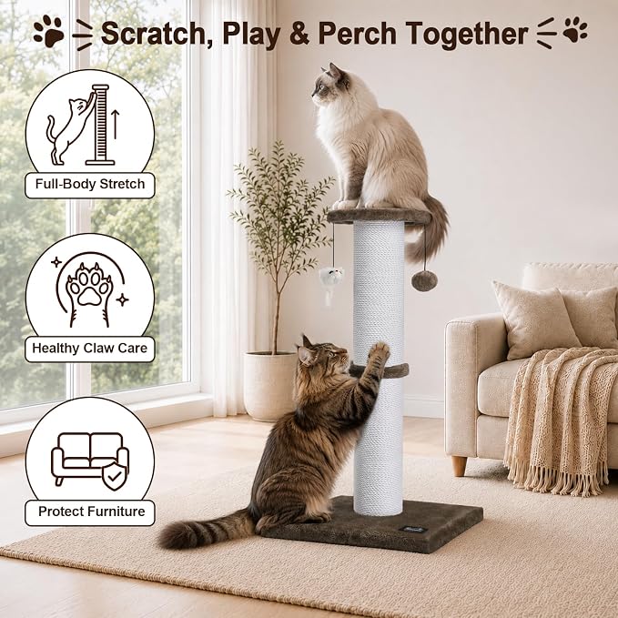 34-Inch Tall Cat Scratching Post for Large Cats, Stable Base, Brown | Heavy-Duty Cat Scratcher, Extra-Tall Thick Post, Soft Natural Cotton Rope, Hanging Interactive Cat Toys, Indoor Cat Furniture
