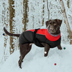 IECOii Extra Warm Reflective Adjustable Dog Jacket - Fleece Turtleneck Winter Coat for Small, Medium, Large Dogs in Cold Weather