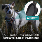 Embark Adventure Small Dog Harness – No-Pull, Reflective Trim, Military-Grade Nylon, Front Clip with Gel-Lined Handle, Soft & Padded