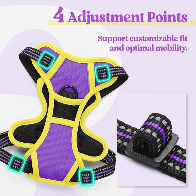 rabbitgoo Dog Harness, No Pull for Small Dogs with 2 Leash Clips, Pet Vest | No Choke with Handle, Adjustable Soft Padded, Reflective, Easy Control for Walking, Purple & Yellow, X-Small