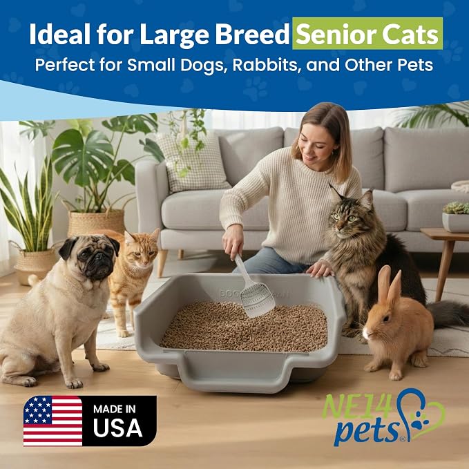 KittyGoHere Senior Cat Litter Box Jumbo with Scoop - 2 Pack Misty Gray | Open Top Low Entrance Kitty Litter Box With Long-handle Jumbo Scoop, Lightweight Low Entry Litters Box, Durable, Made in USA