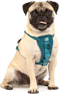 Kurgo Enhanced Strength Tru-Fit Smart Harness, Ink Blue, Extra Small