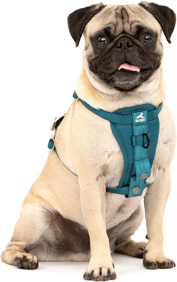 Kurgo Enhanced Strength Tru-Fit Smart Harness, Ink Blue, Small