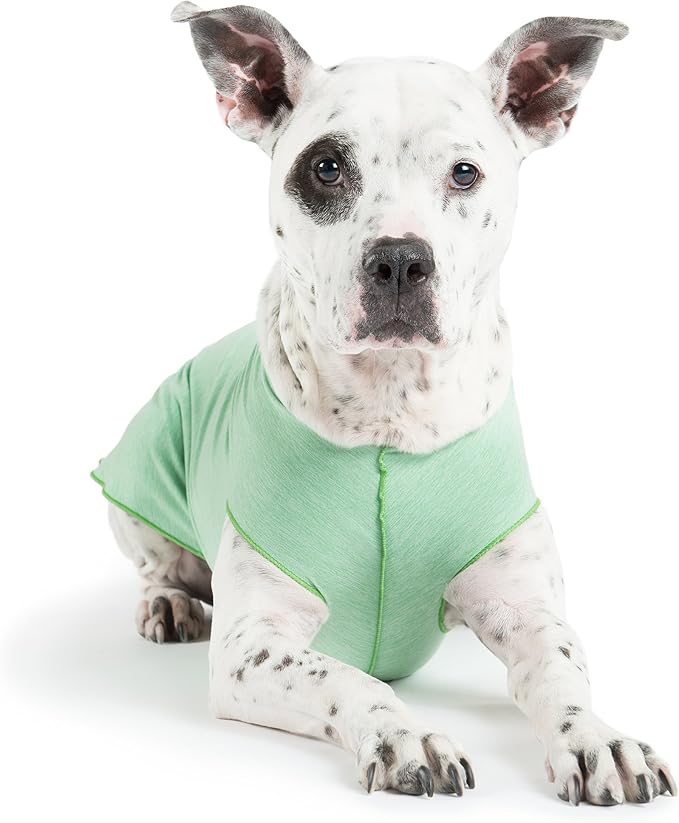Gold Paw Sun Shield Dog Tee – T-Shirt for Canines – UV Protection, Pet Anxiety Relief, Wound Care – Protects Against Foxtails, Aids Alopecia - Machine Washable, All Season – Size 2 – Pistachio