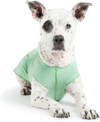 Gold Paw Sun Shield Dog Tee – T-Shirt for Canines – UV Protection, Pet Anxiety Relief, Wound Care – Protects Against Foxtails, Aids Alopecia - Machine Washable, All Season – Size 2 – Pistachio