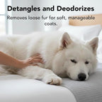 Pride and Groom THE MITT KIT: A Waterless Bath for Dogs - Foaming Dry Shampoo and a Pet Sensitive Glove for a Rinse Free Cleanse and to Eliminate Odor