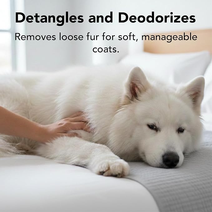 Pride and Groom THE MITT KIT: A Waterless Bath for Dogs - Foaming Dry Shampoo and a Pet Sensitive Glove for a Rinse Free Cleanse and to Eliminate Odor