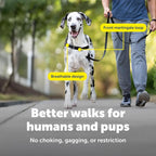 PetSafe Easy Walk No-Pull Dog Harness - Ultimate Harness to Help Stop Pulling - Pull-Free Walks - Take Control & Teach Better Leash Manners - Patented Martingale Loop Design - Black, X-Large