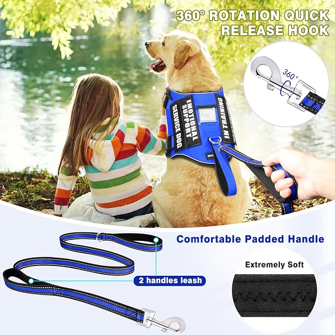 Service Dog Vest Harness and Leash Set+10 Patches,Easy Walk Blue S | No Pull&Adjustable Reflective Dog Harness Small Sized,Dog Leash with 2 Soft Padded Handles,for Training Hiking Walking