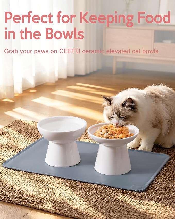 CEEFU 2 Elevated Ceramic Cat Bowls Upgraded with Food Mat for Food & Water | Extra Wide – Whisker Fatigue Shallow Food Dish, Lead & Cadmium-Free, Raised Height for Cats, White