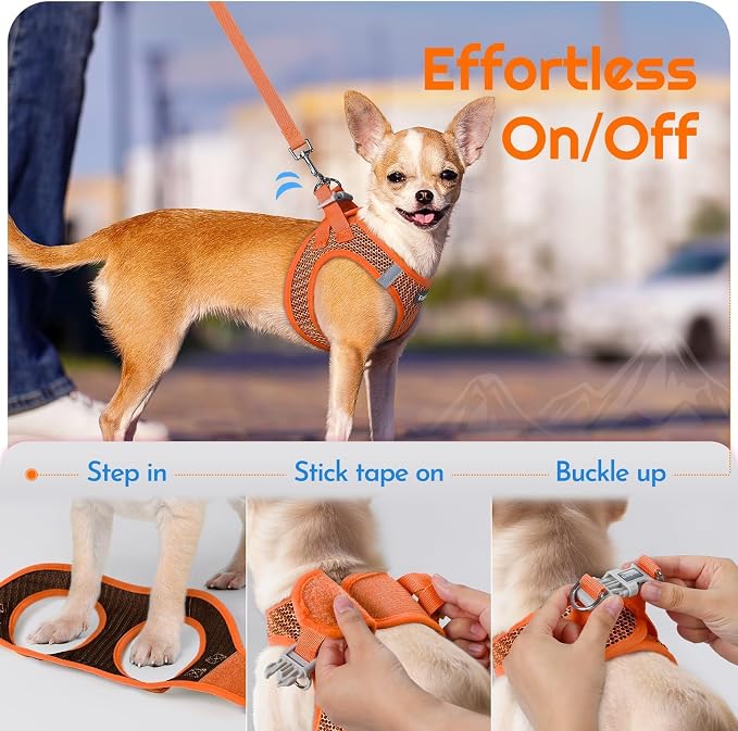 Eagloo Small Dog Harness and Leash Set, Step in Extra Small Puppy Pet Vest | Light, Soft, Breathable Air Mesh, Easy on and off with Hook & Loop, Reflective for Safe Walking, Orange, XXS