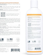 Veterinary Formula Clinical Care Antiseptic and Antifungal Medicated Shampoo for Dogs & Cats, 16 Fl Oz – Helps Alleviate Scaly, Greasy, red Skin – Paraben, Dye, Soap-Free (2 Pack) | Two 16 oz bottles for antiseptic and antifungal care of scaly, greasy ...