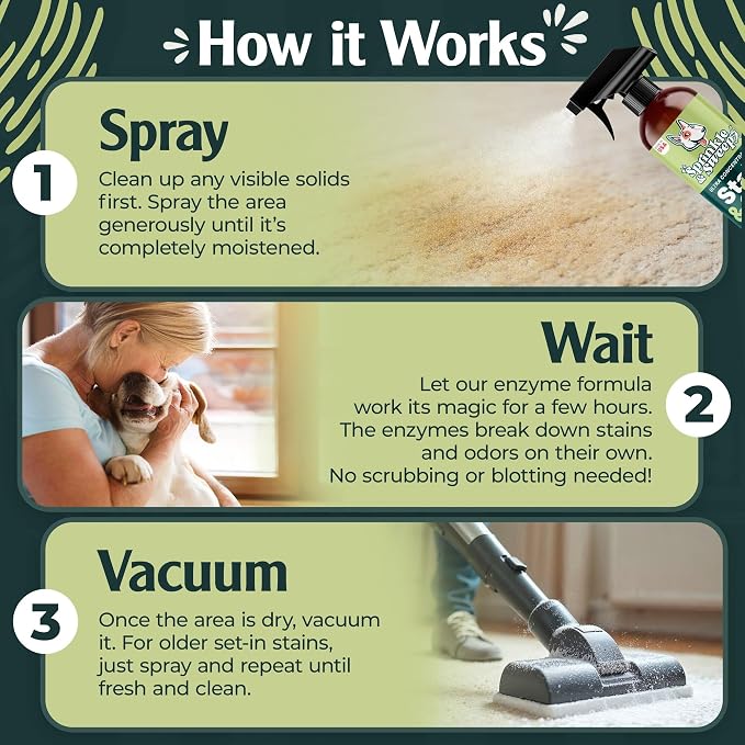 Sprinkle & Sweep: Pet Stain & Odor Enzyme Spray - 32oz, 2 Pack - No Scrubbing Concentrated Formula, Dog & Cat Urine Destroyer, Carpet Spot Cleaning