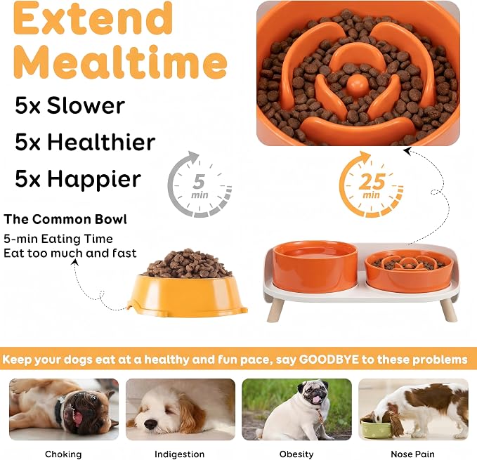 Elevated Slow Feeder Dog Bowls with Splash Proof Stand, Slow Eating 5X | 6.5″ Dog Slow Feeding Bowls & 6.1″ Dog Food Dish, Non-Slip Raised Food and Water Bowl Set for Small and Medium Breeds, Orange