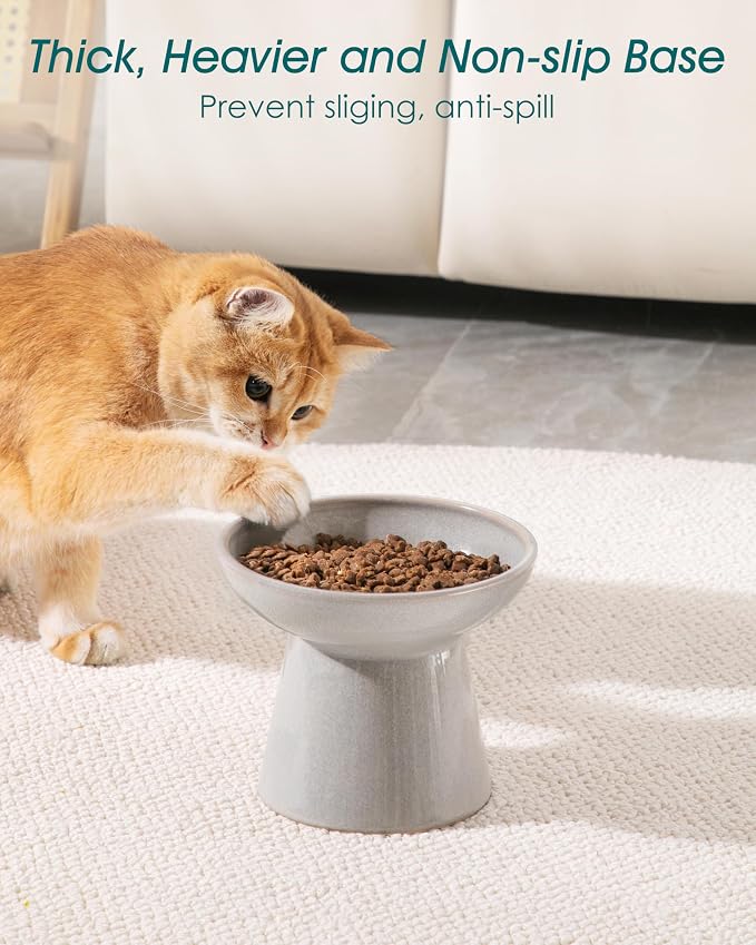 vancasso Ceramic Elevated Cat Bowls 2-Pack - 6.2" Extra Wide Raised Cat Food & Water Dishes, 5.1" Optimal Height Anti-Whisker Fatigue Shallow Bowls for Cats/Kittens/Dogs, Lead & Cadmium Free (Grey)