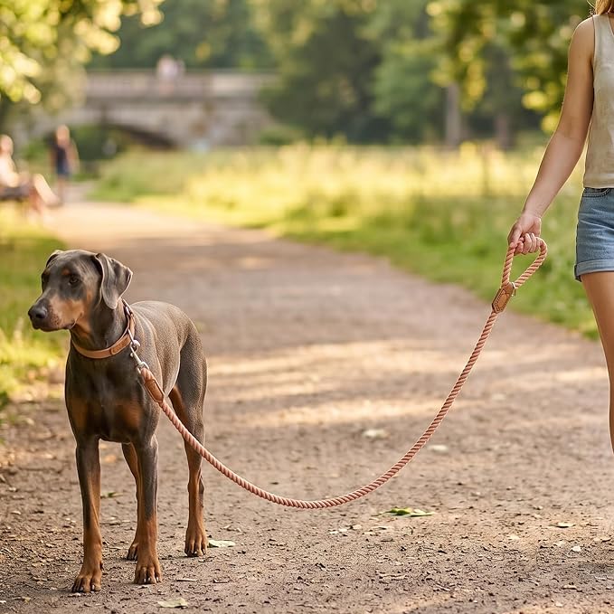 Mile High Life Dog Leash Braided Cotton Rope w/Leather-Wrapped Ends/Handle | Rust-proof 360° swivel clasp, Heavy-duty for medium/large breeds. Great for weddings, daily walks (4 FT, 1/2", Brown)