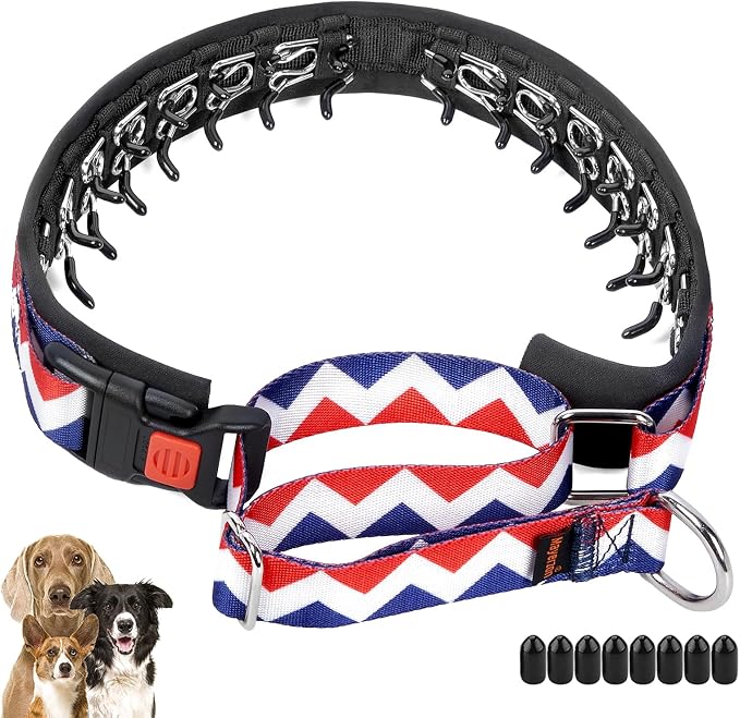 Mayerzon No Pull Dog Prong Collar Martingale, Personalized Pinch Collar | with Geometric Patterns for Large Medium Small Dogs for Walking Training Festival, Easy to Use(Ethnic Red, M)