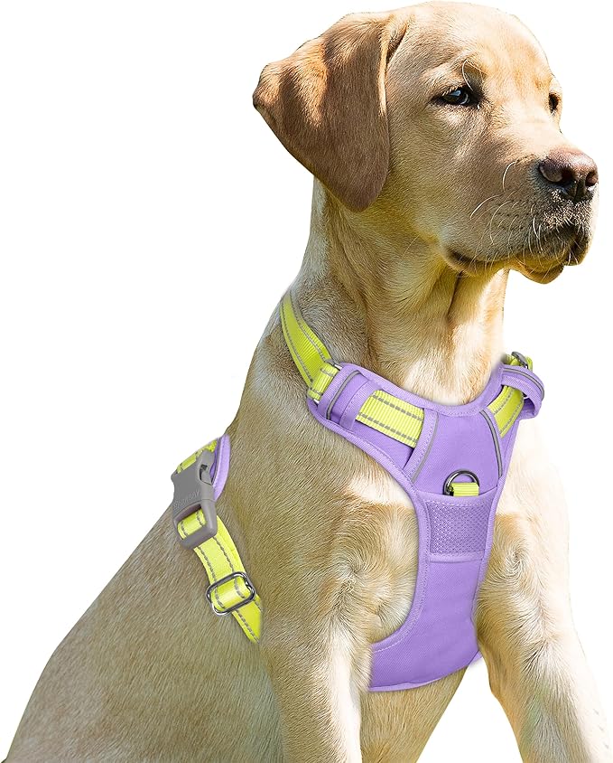 BARKBAY No Pull Dog Harness Front Clip Heavy Duty Reflective Easy Control Handle for Large Dog Walking(Violet Purple & Sunlight,S)