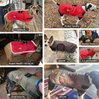 BEAUTYZOO Dog Winter Coat for X-Large Dogs Waterproof, Warm Reflective Great Dane Oxford Canvas Jacket, Fleece Dog Cold Weather Coats Windproof for Female Male Dogs, Grey XL