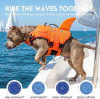 ASENKU Dog Life Jacket - Pet Safety Vest for Swimming & Boating, Shark Life Jacket with Floatation, Dog Lifesavers Swimsuits for Small Medium Large Dogs (OrangeMix, M)