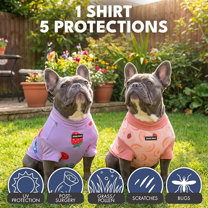 Spark Paws Sunblock Dog T-Shirt, SPF30 Protection, Lightweight Breathable Quick Dry for Dogs with Sensitive Skin - Berries & Peaches (Set of 2) - Size 2XL