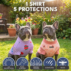 Spark Paws Sunblock Dog T-Shirt, SPF30 Protection, Lightweight Breathable Quick Dry for Dogs with Sensitive Skin - Berries & Peaches (Set of 2) - Size 3XL