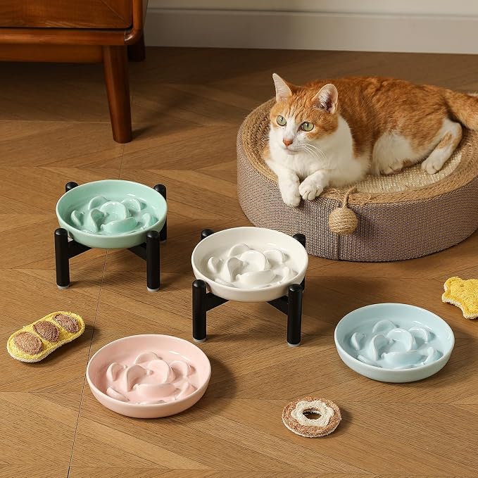 Elevated Ceramic Slow Feeder Cat Bowl, 6.3'' Wide Whisker Friendly | Slow Eating 5x, Anti Vomit Shallow Slow Eating Cat Dish, 3.9" H Raised Cat Puzzle Feeder for Dry and Wet Food, 6.3" X 1.2"