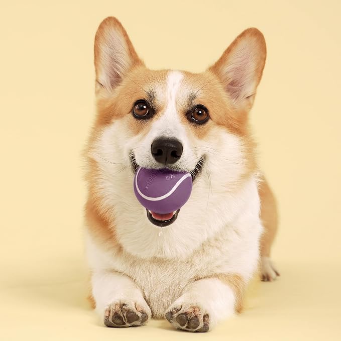 Playology Dog Toys | Squeaky Chew Ball for Dogs | Bacon Scented Medium Dog Ball | Bouncy Floating Chew Toys for Fetch
