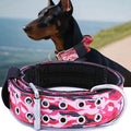Dog Collar for Large Dogs, with Handle 2" Wide Heavy Duty, Blush-M | 1/3in Thick Military Nylon and Neoprene Padded plus Stainless Steel Pin Buckle,for Strong and Garint Breeds,Neck Protector