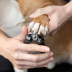 Tweezerman Small Nail Clippers for Pets - Manual Professional Nail Trimmer