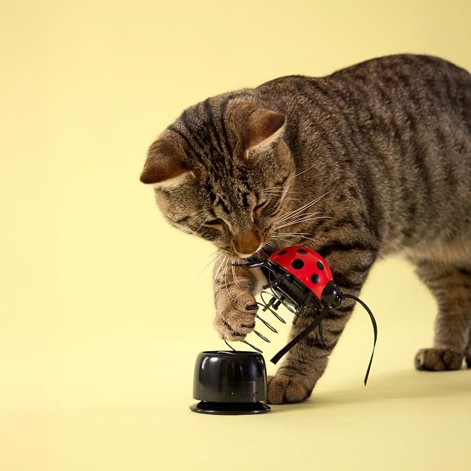 Playology Cat Toys | Limited Edition Toys - Suction Cup Springbird with Feathers & Pop-Up Ladybug Treater | Interactive Fun for Indoor Cats