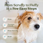 PAWFUME Dog Shampoo and Conditioner, Blue Ribbon, 4-Pack – Nourish & Detangle for a Silky Soft Coat – Probiotic, Deep-Cleaning, pH-Balanced Formula – Puppy Shampoo and Conditioner for All Breeds