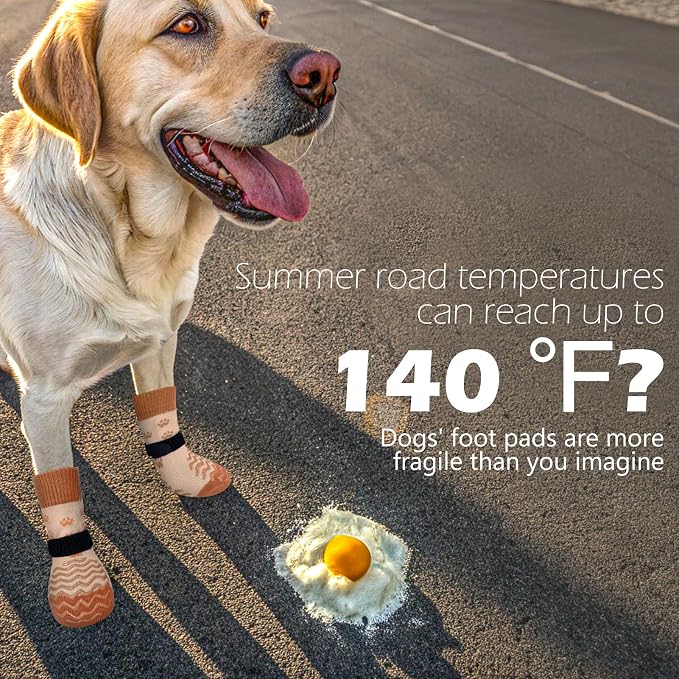 EXPAWLORER 6Pcs Anti Slip Dog Socks to Prevent Licking Paws, Dog Shoes for Hot Pavement Double Sides Dog Boots & Paw Protectors Booties for Hardwood Floors with Grip Small Medium Large Senior Dogs, XS
