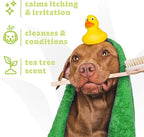 Espree Intense Itch Relief Dog Shampoo & Conditioner, Anti Itch Shampoo for Dogs, Soothes Dog Irritated & Itchy Skin, Plant-Based Moisturizing Formula for Sensitive Skin Relief, Sulfate-Free, Gallon