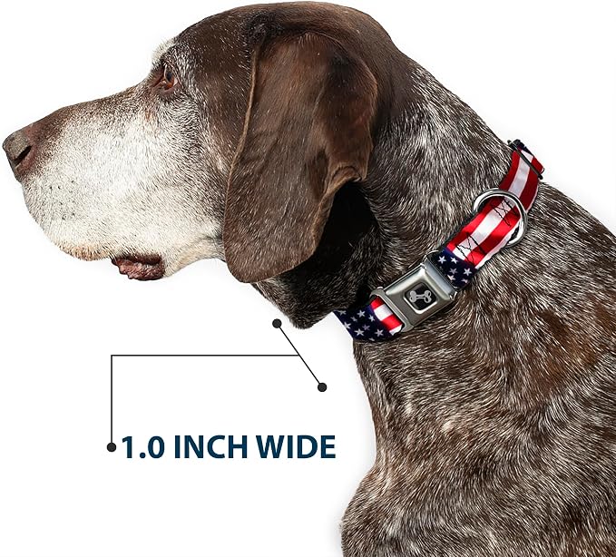 Buckle-Down Seatbelt Buckle Dog Collar, American Flag, Small, Multicolor | Fits 9 To 15 Inch Neck, 1 Inch Wide, Durable Nylon Pet Collar, Stainless Steel Buckle, Handcrafted In USA, Vivid Close Up