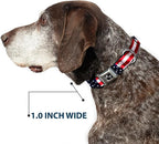 Buckle-Down Seatbelt Buckle Dog Collar, American Flag, Small, Multicolor | Fits 9 To 15 Inch Neck, 1 Inch Wide, Durable Nylon Pet Collar, Stainless Steel Buckle, Handcrafted In USA, Vivid Close Up